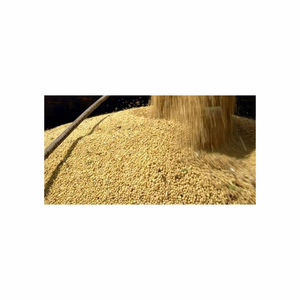 Poudre de farine de soja à haute teneur en protéines de qualité supérieure approvisionnement direct en usine d'aliments frais pour animaux en vrac - Product Image 5