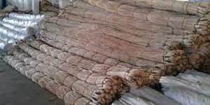 ธรรมชาติกำเนิดเสาหวายดิบสำหรับการส่งออกที่มีราคาที่ดี Akina - Product Image 4