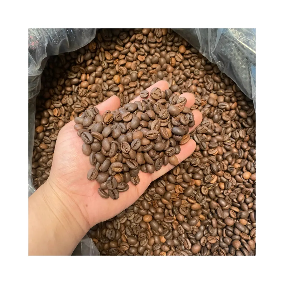 All'ingrosso chicchi di caffè torrefatto 100% ARABICA vietnamita torrefazione leggera e media di alta qualità caffè specialità di origine singola