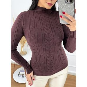 Sweat-shirt oversize d'hiver pour femme, long, uni, décontracté, confortable, anti-rides, respirant, doublé, en coton tricoté, fournisseur de BD - Product Image 2