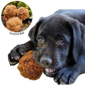 Balle à mâcher en noix de coco vietnamienne Jouet pour animaux de compagnie de haute qualité pour les distributeurs - Product Image 1
