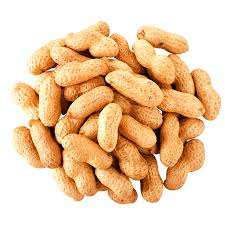 Premium Quality Natural Organic Shelled <b>Peanuts</b> Available at Competitive Prices - Product Image 6