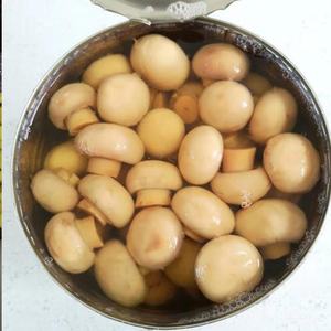 เห็ดกระป๋องคุณภาพพรีเมี่ยมจากเวียดนาม - Product Image 4