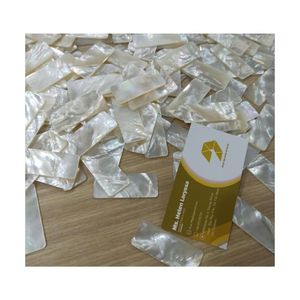 SEASHELL BLANC MOSAÏQUE PLACAGE DE PERLE INSTALLATION POUR LE BRICOLAGE NATUREL MÈRE DE PERLE INLAY SEASHELL SOUPER GLOW - Product Image 3