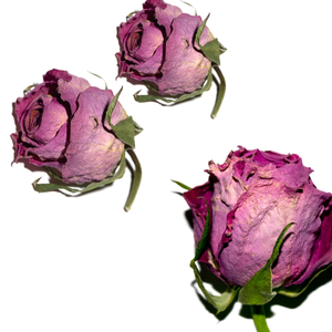 กลีบกุหลาบอบแห้งสำหรับทำเทียนสบู่และระเบิดอาบน้ำ - Product Image 6