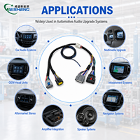 Harness Kabel Amplifier DSP Audio Mobil dengan Isolasi Tembaga Berlapis Timah IP67 Frekuensi Tinggi PTFE/Nylon/PVC Panjang Dapat Disesuaikan