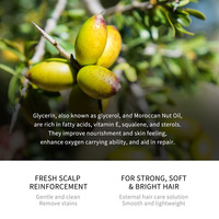 Shampooing et revitalisant sans sulfate à l'huile d'argan du Maroc biologique pour la croissance des cheveux à la biotine, marque privée, après traitement à la kératine