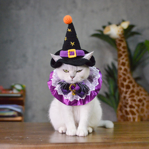 Sombrero de Gato de Ganchillo Personalizable con Diseño de Bruja para Halloween, Gorro Tejido para Mascotas para Deportes al Aire Libre y Viajes, para Navidad - Product Image 3