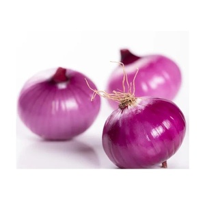 Prix le plus bas Oignon pelé rouge frais 5cm/6cm/7cm/8cm/9cm Vente en gros de Shandong Prix bas Oignons pelés frais rouges violets - Product Image 4