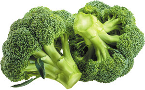 Brócoli Fresco 100% Natural al por Mayor, Origen Francia, Brócoli Fresco de Alta Calidad Disponible a Precio de Mayoreo - Product Image 5