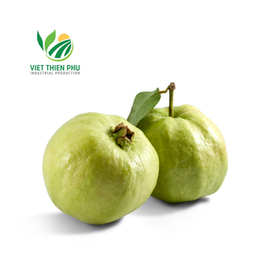 เวียดนามฝรั่งสีชมพูแช่แข็งสามารถส่งออกในราคาที่ถูกที่สุด - Product Image 3