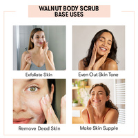 Base de gommage pour le corps en noyer | Obtenez une base de gommage exfoliante de haute qualité au prix de gros, base de gommage pour le corps en noyer