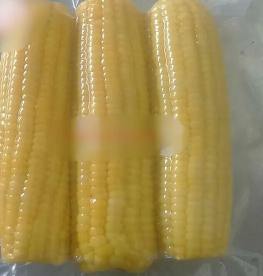 IQF jagung manis beku dari Vietnam dengan harga kompetitif, kualitas tinggi/penjualan Ms.Ahri + 84 328334958 Whatsapp