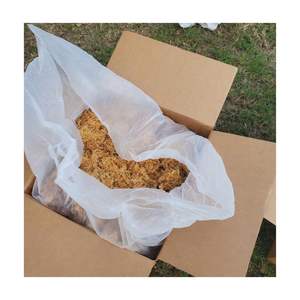 Pure Irish Sea Moss (Seamoss Gold-Purple) Flavored FD Bulk Packed 10% <b>Flash</b> <b>Sale</b> for Spring Festival Carrageen Moss - Product Image 4