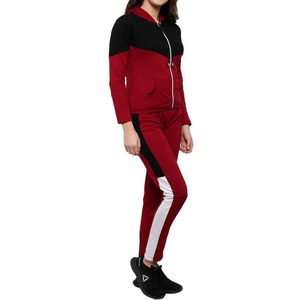 Nouveau survêtement pour femmes de haute qualité, lourd, respirant, tissu confortable, nouveau style, vêtements d'hiver, ensembles de survêtement pour adultes - Product Image 3