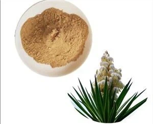 Pabrik grosir Yucca ekstrak bubuk 10%-98% Saponins/Yucca Shidigero ekstrak Yucconin - Product Image 5