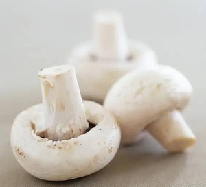 Wholesale of High-quality Wild Food Grade Freeze Dried Mushroom Extract <b>Powder</b> in <b>Bulk</b> - Product Image 3