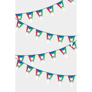 Drapeaux triangulaires de la Guinée équatoriale pour événements et célébrations - Impression numérique - Product Image 1