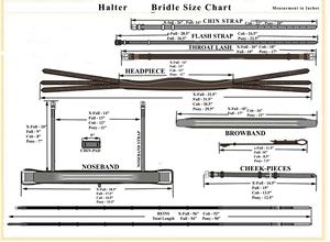 Santorini Black Snaffle Black/Teal bleu couleur passepoil usine en gros léger personnalisé NOUVEAU cheval bride pour grande quantité - Product Image 6