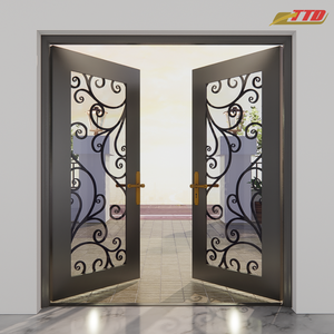 Puertas de entrada frontal de hierro y acero modernas, impermeables y estéticamente atractivas con un rendimiento duradero para el hogar - Product Image 1