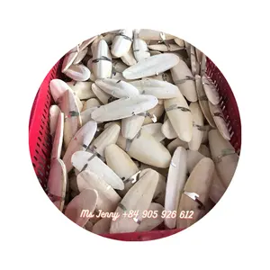 La scelta migliore per osso di seppia per uccelli/osso di seppia con gancio in metallo per BLISTER per alimenti per animali domestici imballaggio sfuso Ms. Lily + 84 906927736