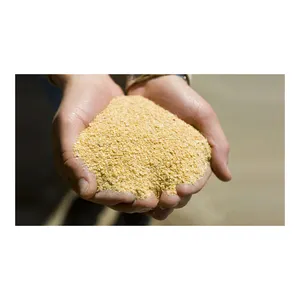 Refeição de grau de soja premium, 48% proteína para alimentação de animais/refeição de soja orgânica