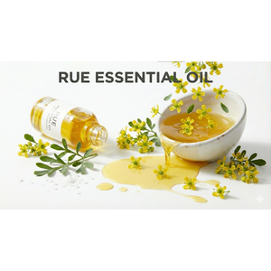 Aceite Esencial Clásico Rue con Profundo Carácter Botánico para Mezclas Aromáticas, Ambientación del Hogar y Aplicaciones en la Industria Artesanal - Product Image 6