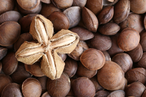 Nueces de Sachi Inchi Naturales de Vietnam, Proveedor de Alta Calidad con Precio Competitivo 2022 - Sra. Kathy VDelta - Product Image 6