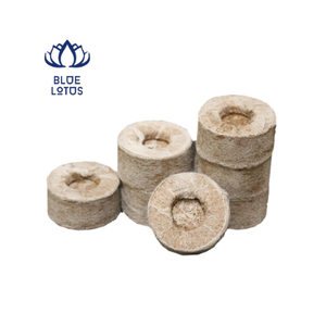 Pastilles de noix de coco Offre Spéciale de haute qualité provenant du Vietnam - Product Image 1