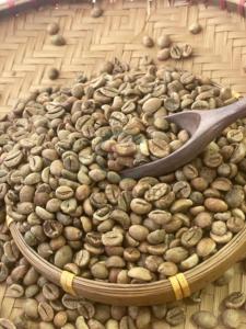 เมล็ดกาแฟโรบัสต้าเวียดนามสีเขียว ขนาด 13 สะอาด ไม่ผ่านกระบวนการคั่ว สำหรับส่งออกจำนวนมาก ความชื้นคงที่ ผู้จัดจำหน่ายกาแฟ - Product Image 5