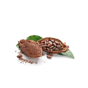 Kanha Nature Oils Huile parfumée au cacao Le plus grand fabricant indien Vente en gros d'huile essentielle pure Pamplemousse Arbre à thé Jasmin - Product Image 2