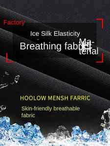 Pantalon d'été à séchage rapide pour hommes de haute qualité Style décontracté d'affaires respirant confortable taille haute élastique lavage léger - Product Image 5