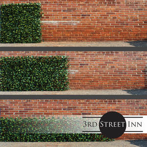 Juego de 4 1,6 pies. H X 9 pies. W Pantalla de privacidad de bambú Plantas artificiales y vegetación - Product Image 5