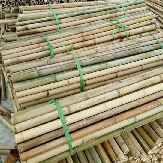 원료 대나무 소재, 대나무 극, 남아프리카 공화국에서 대나무 스틱