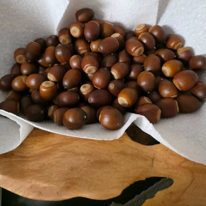 Noyau de noisette cru/noyau de noisette de qualité biologique/noix de noisette - Product Image 1