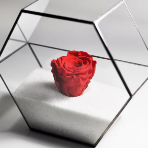 Hecho a mano moderno diseño nórdico vidrio templado terrario geométrico jarrón de cristal Vintage hogar jardín boda decoración del suelo - Product Image 5