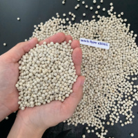 Poivre noir jumbo de haute qualité, doublement lavé, 5 mm, du Vietnam, séché naturellement, traitement brut, pureté 99%, récolte la plus récente, 630 g/L