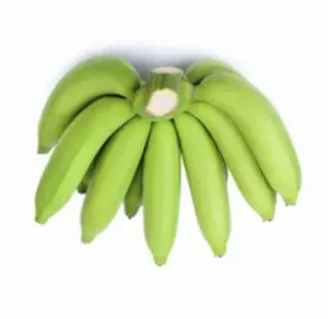 CAVENDISH verde BANANA grande all'ingrosso dal VIETNAM TROPICAL BANANA NO DARK POTS