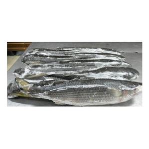 ปลากระพงขาวแช่แข็งคุณภาพสูงราคาประหยัด - Product Image 1