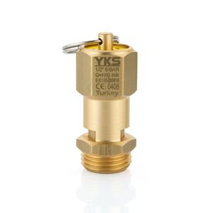 วาล์วนิรภัยทองเหลืองแบบปิดผนึกขนาด 1/2 นิ้ว 6 บาร์ ได้รับการรับรองมาตรฐาน CE - วาล์วระบายแรงดันแบบปิดผนึก - วัสดุทองเหลือง - Product Image 1