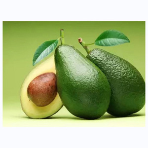Aguacates Frescos de Alta Calidad al por Mayor - Product Image 2