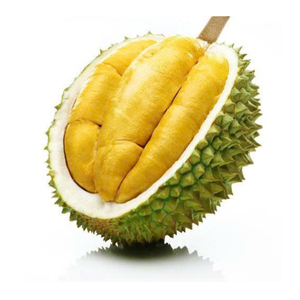 Carne Durian congelada de Vietnam, pulpa Durian congelada, trozos de Durian IQF para postres, batidos y aplicaciones en la industria alimentaria - Product Image 2