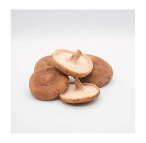 Champignons shiitake séchés en vrac de haute qualité petits champignons shiitake emballés - Product Image 5