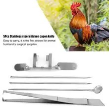 Chicken Capon <strong>Kit</strong> Surtechs Capon Knife Tool Cock Rooster <strong>Caponizing</strong> Instruments Veterinary Instruments