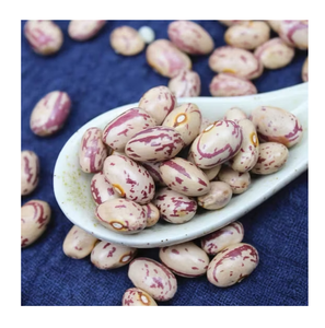 Alubias de azúcar moteadas ligeras orgánicas al mejor precio | Frijoles Pintos disponibles para la venta - Product Image 2