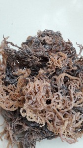 Eucheuma cottonii แบบแห้งส่วนประกอบที่เหมาะสำหรับเครื่องป้องกันอาหารและเจล - Product Image 6