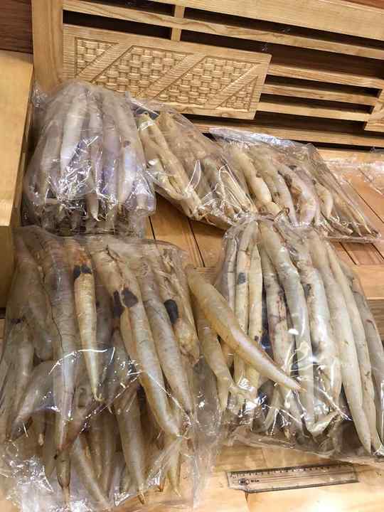 BEST QUALITY DRIED SEABASS FISH MAW EEL  DRIED FISH MAW PANGASIUS FISH MAW TUBE and BUTTERFLY TYPE VIETNAM AKINA