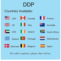Agent d'expédition aérien professionnel DDP transitaire de fret aérien porte-à-porte service logistique de fret entreprise d'expédition vers l'Espagne