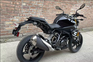 Motocicleta Deportiva B-M-W 24RA - Product Image 5