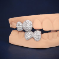 Personnalisé Hip Hop Grillz VVS Glacé Haute Qualité Moissanite Top 4 Bottom 4 Argent 925 Grillz Pass Diamant Test Fine Jewelry
